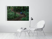 Load image into Gallery viewer, 4118110-958556