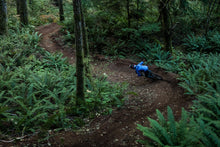 Load image into Gallery viewer, Sweeping Turns