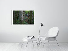 Load image into Gallery viewer, 4118107-958562