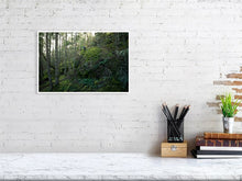 Load image into Gallery viewer, 4132223-961574