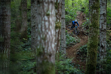 Load image into Gallery viewer, Snake