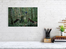 Load image into Gallery viewer, 4118122-958520