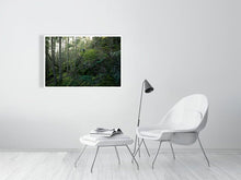 Load image into Gallery viewer, 4132223-961578