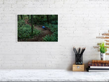 Load image into Gallery viewer, 4118110-958551