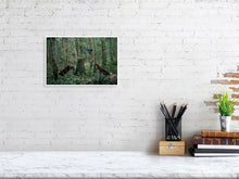 Load image into Gallery viewer, 4118122-958518