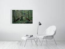 Load image into Gallery viewer, 4118122-958523