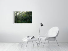 Load image into Gallery viewer, 4132223-961577