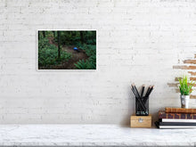 Load image into Gallery viewer, 4118110-958550