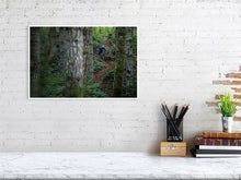 Load image into Gallery viewer, 4118107-958559